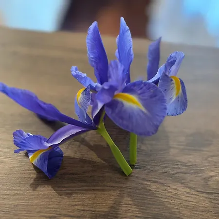 Athinas House Feriehus