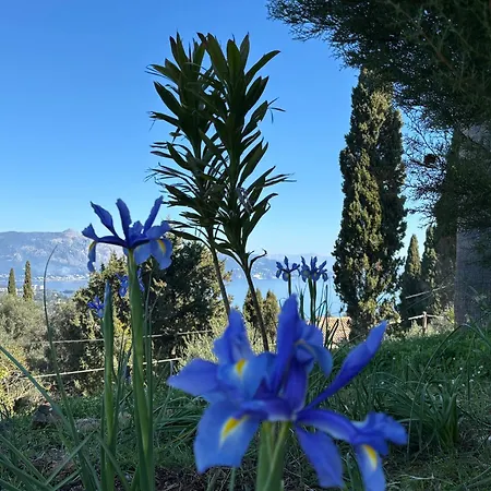 Athinas House بيت للعطل *